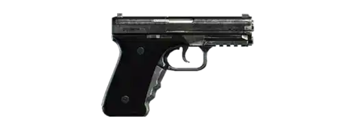 WM 29 Pistol — GTA V / GTA Online weapon reference image
