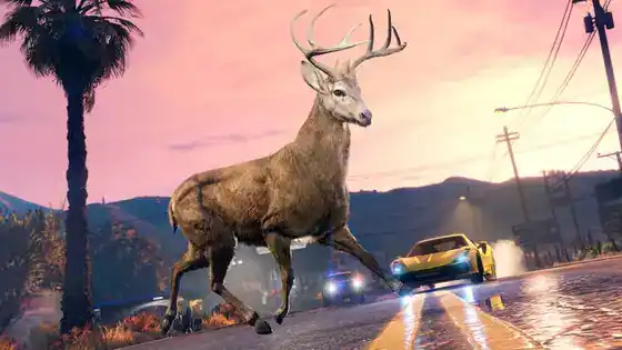 gta online the chop shop