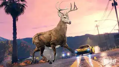 Wildlife Photography Challenge, New Vehicle Declasse Park Ranger, New Bonuses promotional image