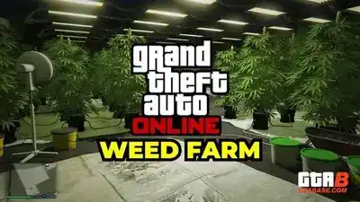 Weed Farm setup: Clubhouse access, locations and supply costs promotional image