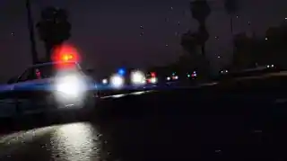 Ambush - Police Ambush — reference image