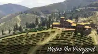 Water the Vineyard — reference image