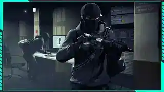 The FIB Files — reference image