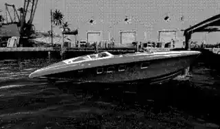 Vehicle: Longfin — reference image