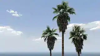 Last Team Standing: Del Perro Freeway LTS — reference image