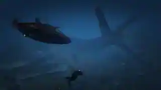 Salvage — reference image