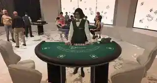 Blackjack — reference image