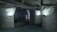 Bunker Customization: Style — route or variant image 4