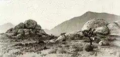 Step 1. First Clue — route or variant image 5