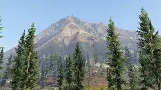 Parachuting: Timber — reference image