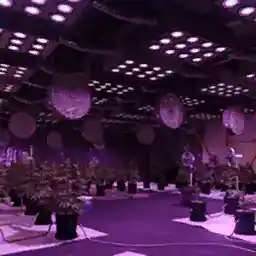 Weed Farm — reference image
