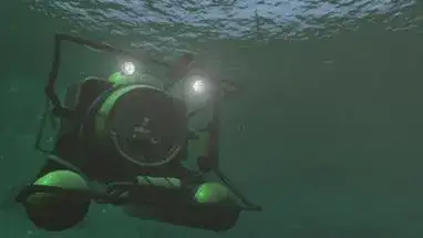 Minisub