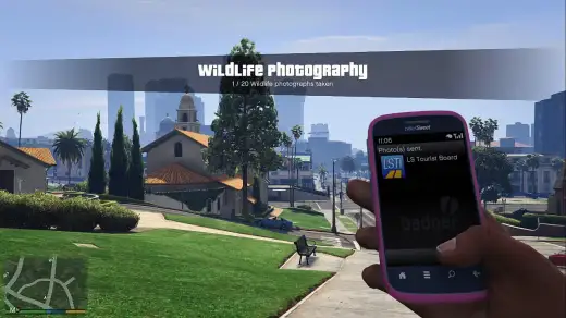 Wildlife Photography Challenge