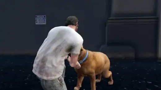 Vinewood Souvenirs - Kerry
