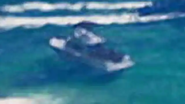 Crusader Boats GFY design comparison image; not a GTA VI gameplay screenshot
