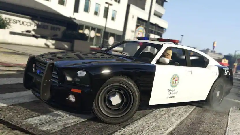 Police Cruiser (Buffalo) — reveal image 4