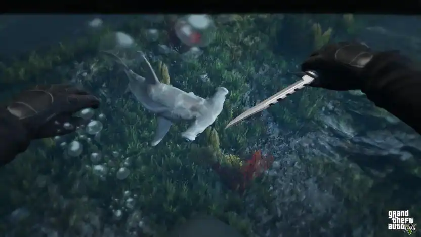 Hawk & Little Knife — reveal image 1